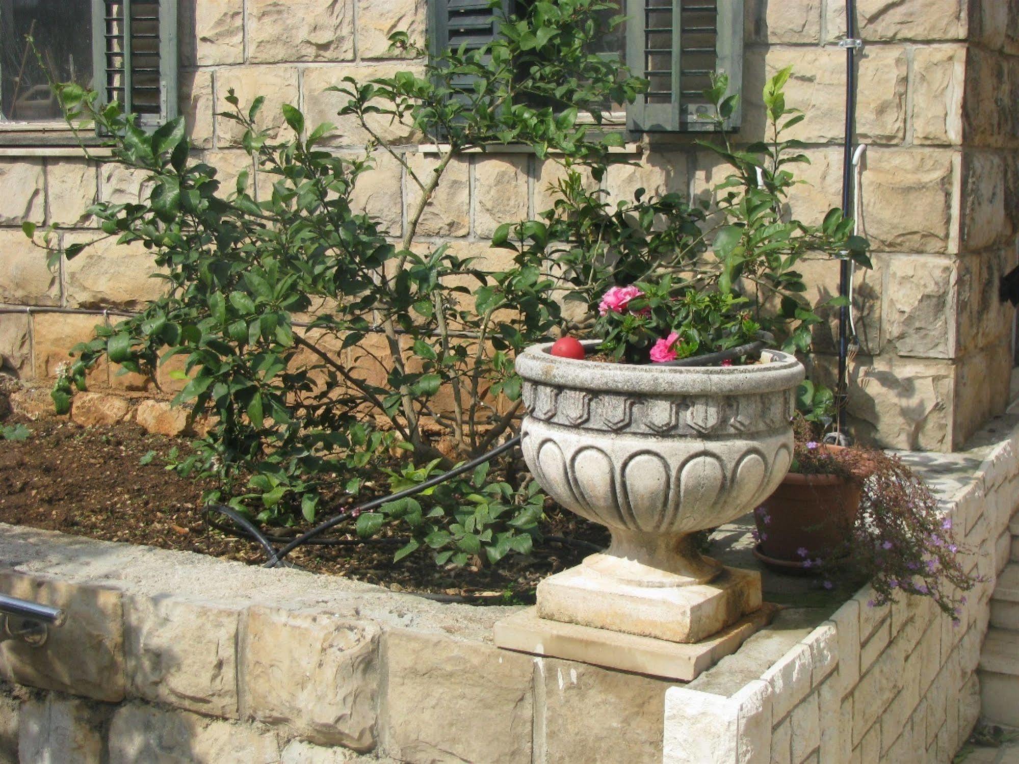 Apartment House With Garden Dubrovnik